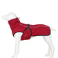 Winter Down Jacket Water and WindProof XS-XL