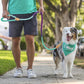 Leash Braided Clip rope 2 sizes