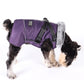 Winter coat with Fur Collar