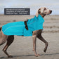 Raincoat Spring Reflective XS-5XL