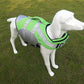 Life Jacket Reflective