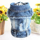 Jean Jacket Miss Doggy