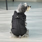 Winter Jacket and sweater