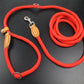 Leash Nylon Slip Rope