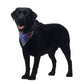 High Visibility Reflective Bandana