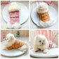 Winter Fur Collar Coat