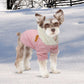 Winter Coat for small dogs