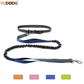 Leash Hands Free Bungee Belt
