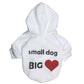 Hoodie Graphic Design