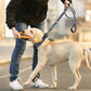 Collar and Leash set Reflective