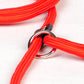 Leash Nylon Slip Chain