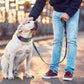 Collar and Leash set Reflective