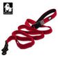 Leash Bungee waist Belt TRUELOVE