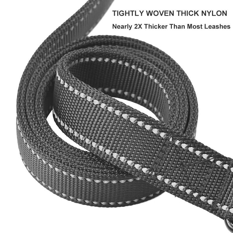 Leash two handle reflective