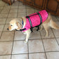 Safety Vest life Jacket Summer Printed