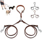 Leash Leather 2 Way with Handle