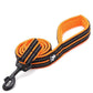 TrueLove reflective JUXZH leash