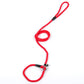 Leash Nylon Slip Chain