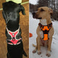 TrueLove no pull harness