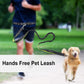 Leash Hands Free Bungee Belt