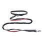 Leash Hands Free Bungee Belt
