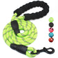 Leash Reflective Nylon Rope 5ft