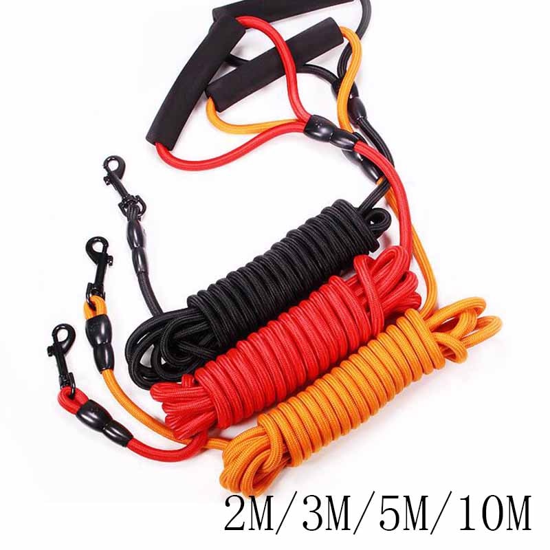 Nylon Training Leash with Padded Handle