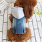 Jean Jacket Miss Doggy