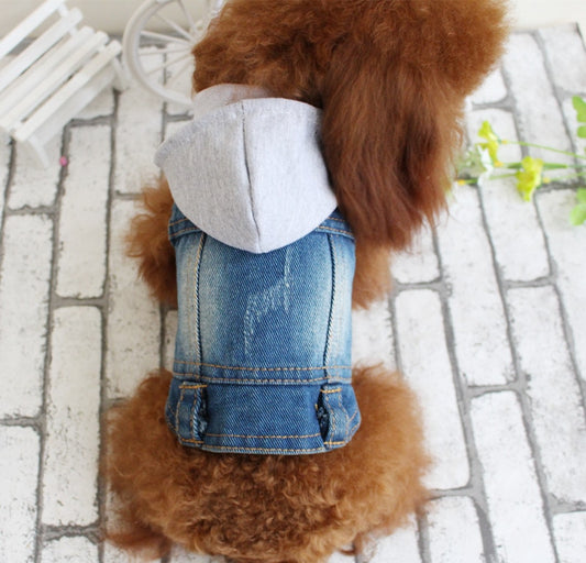 Jean Jacket Miss Doggy