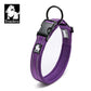 TrueLove reflective nylon padded collar