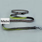 Leash Hands Free Bungee Belt