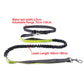 Leash Hands Free Bungee Belt