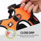 TrueLove no pull harness