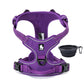 TrueLove no pull harness