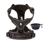 TrueLove no pull harness