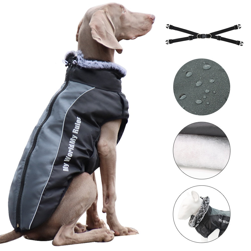 Winter Jacket for Large dogs