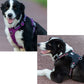 Harness reflective and Waterproof TRUELOVE
