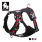 Harness reflective and Waterproof TRUELOVE