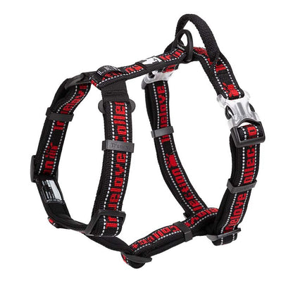 Harness Basic Collection TRUELOVE