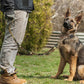 Collar and leash Military Style