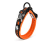 Collar Neoprene Reflective TRUELOVE