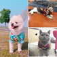 Wicked Awesome Summer Shirts