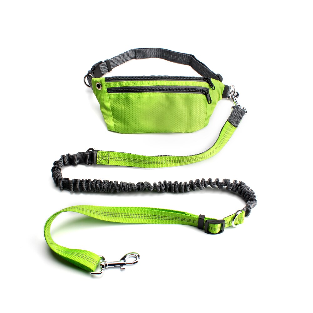 Leash Hands Free Bungee belt with pocket