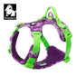 Harness Festive Summer Colors Reflective TRUELOVE