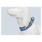 Collar Neoprene Reflective TRUELOVE