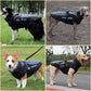 Winter Jacket with Fur Neck for Large Dogs