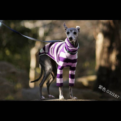 Jumper Two-legged, High-necked Cute Dog Clothing