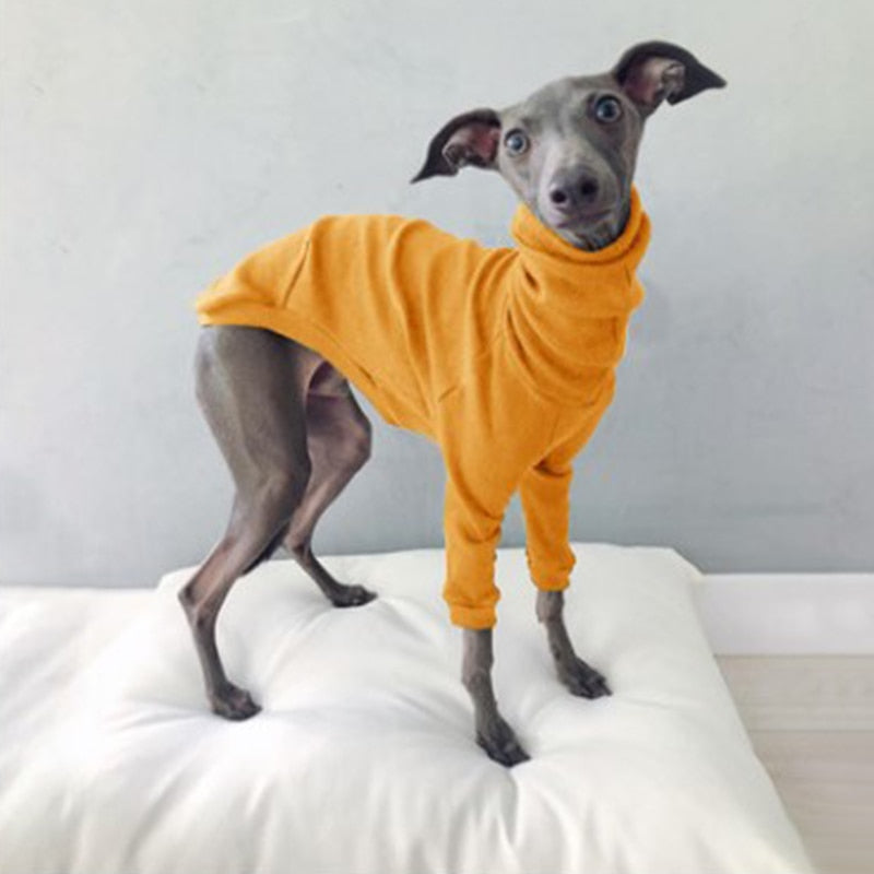 Pullover sweater small to large dogs