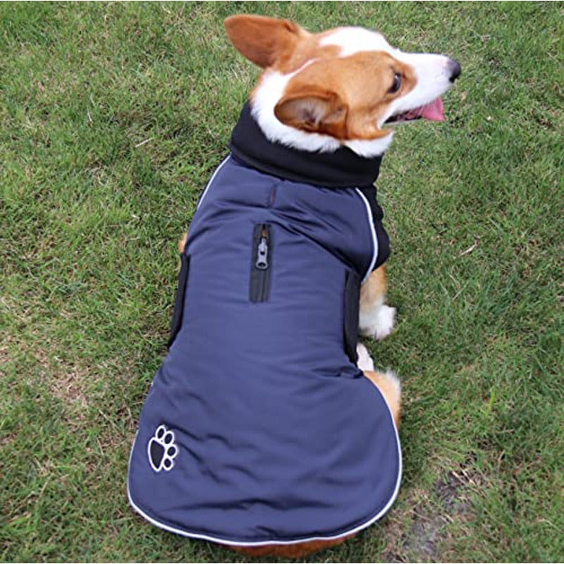 Benepaw Reversible Waterproof Dog Coat with Reflective Trim