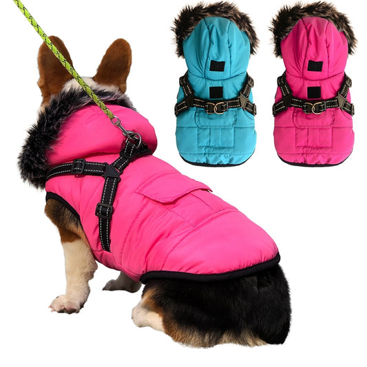 Winter Pet Dog Coat Dog Jacket with Harness Warm Soft Windproof with Hooded S-XXL with Zipper for Small Medium Dogs